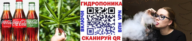 Canna-Cookies марихуана  Купить где  Сковородино 