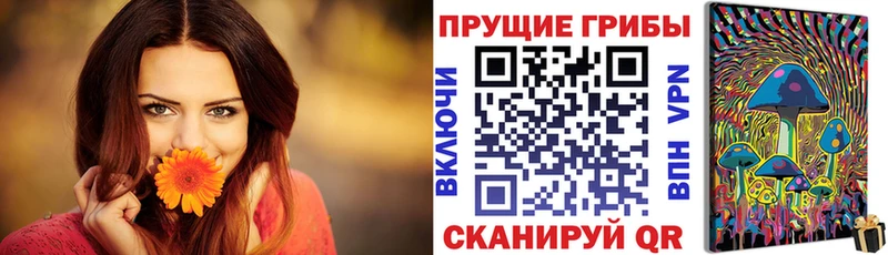 Купить где  Сковородино  Псилоцибиновые грибы Cubensis 