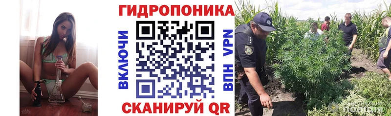 Бошки марихуана OG Kush Сковородино